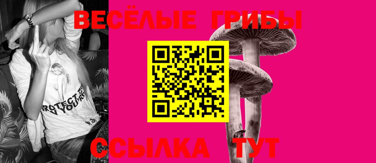 Псилоцибиновые грибы мицелий Тейково